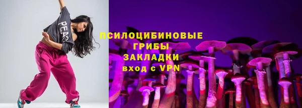 не бодяженный Михайлов