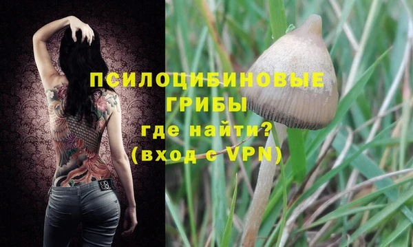 трава Балахна