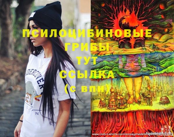ПСИЛОЦИБИНОВЫЕ ГРИБЫ Баксан