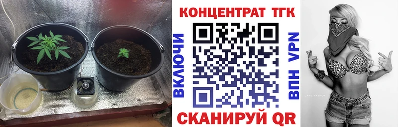 где продают   Кяхта  Дистиллят ТГК THC oil 