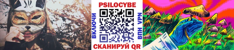 Галлюциногенные грибы Psilocybe  Кяхта 